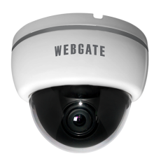 웹게이트 NK1080D-F2.0 2M IP E/V용 돔 카메라 (IR 없음)