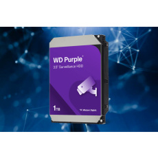녹화용 저장장치 HDD 4TB 윈디퍼플
