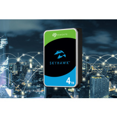 씨게이트 녹화용 저장장치 HDD 4TB Skyhawk
